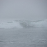 Golden Gate Park Beach