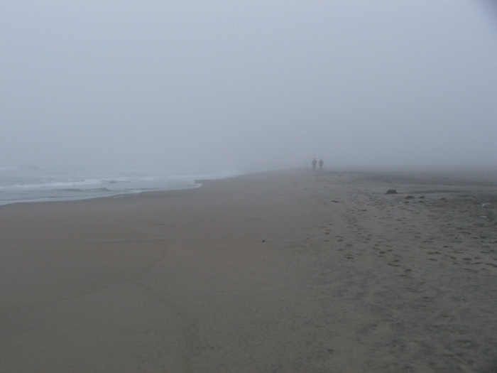 Golden Gate Park Beach