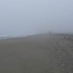 Golden Gate Park Beach