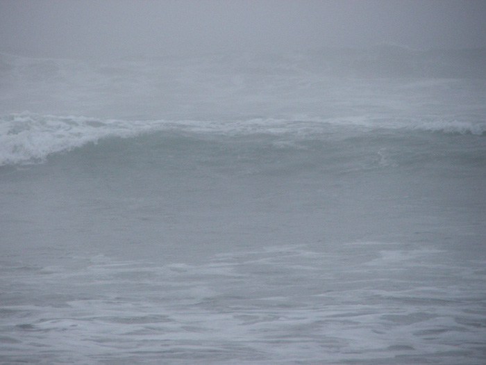 Golden Gate Park Beach