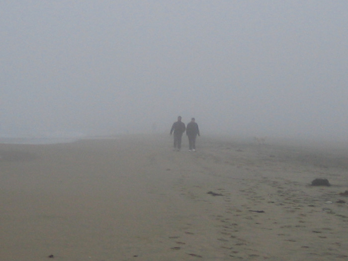 Golden Gate Park Beach
