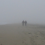 Golden Gate Park Beach