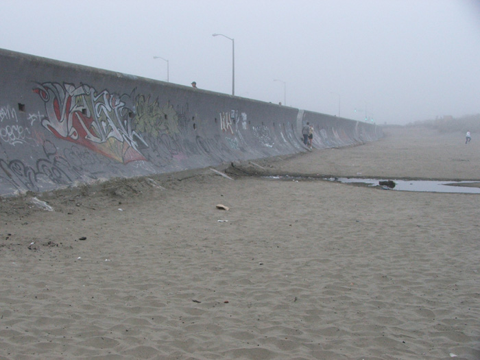 Golden Gate Park Beach