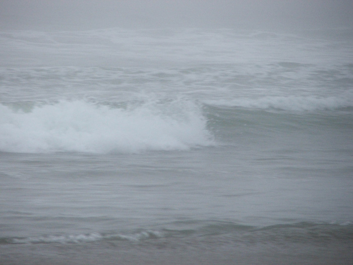Golden Gate Park Beach