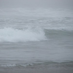 Golden Gate Park Beach