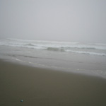Golden Gate Park Beach