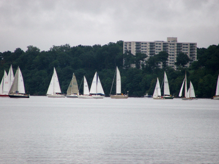 Sailboats