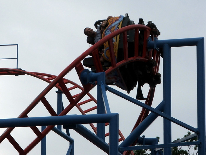 Steel Dragon