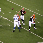 #5 Jordan Palmer