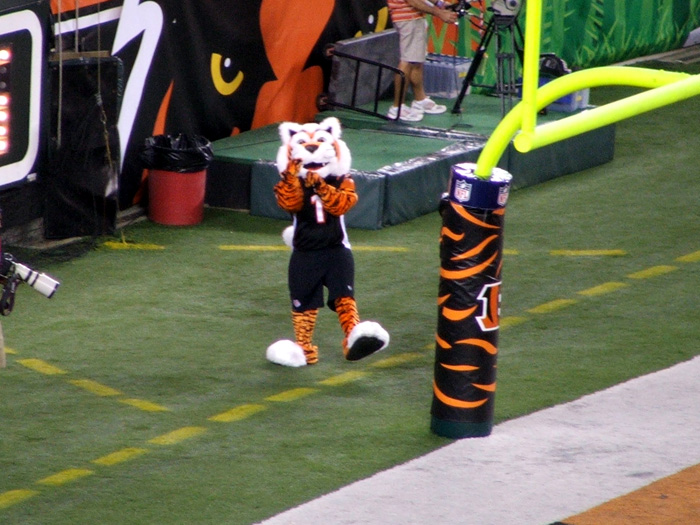 'Who Dey'