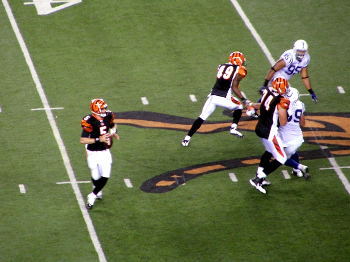 #5 Jordan Palmer