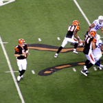 #5 Jordan Palmer