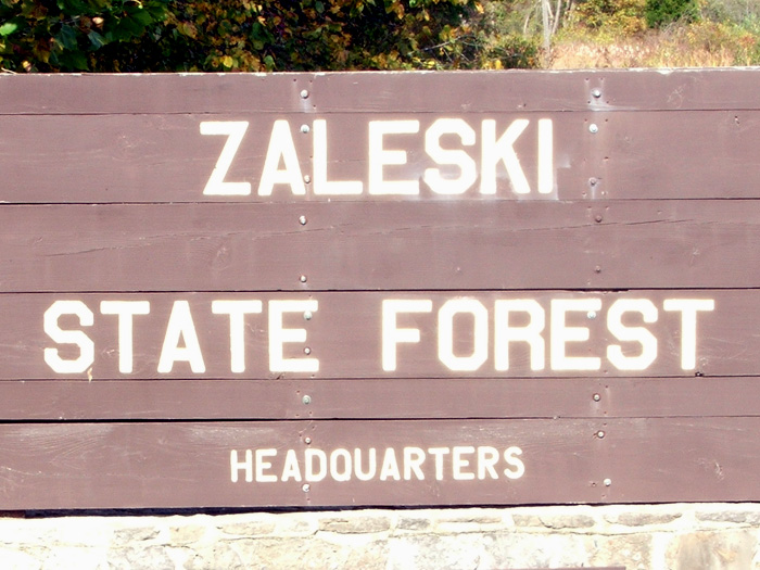 Zaleski State Forest