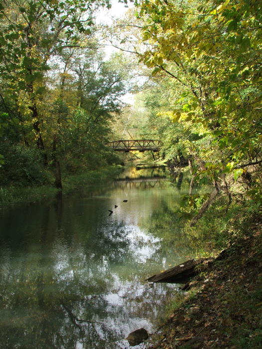Raccoon Creek