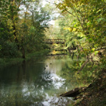 Raccoon Creek