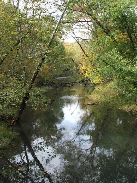 Raccoon Creek