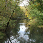 Raccoon Creek