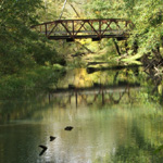 Raccoon Creek