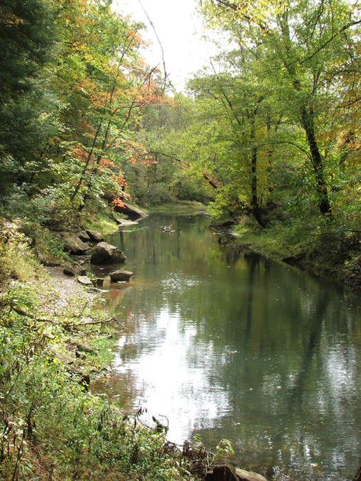 Raccoon Creek
