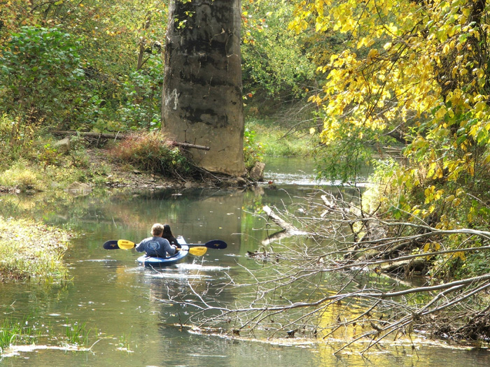 Raccoon Creek