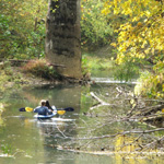 Raccoon Creek