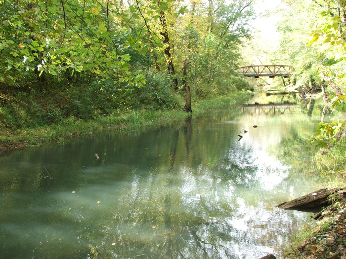 Raccoon Creek