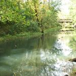 Raccoon Creek