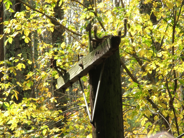 Zaleski State Forest
