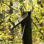 Zaleski State Forest