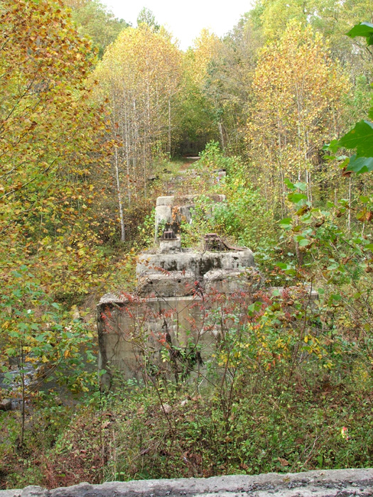 Raccoon Creek