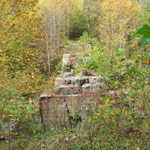 Zaleski State Forest