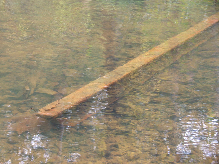 Raccoon Creek