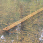 Raccoon Creek