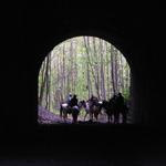 Moonville Tunnel