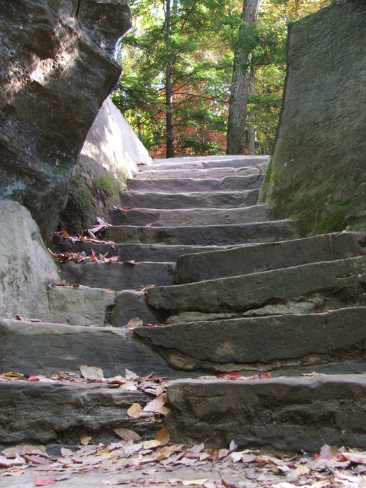Rock House