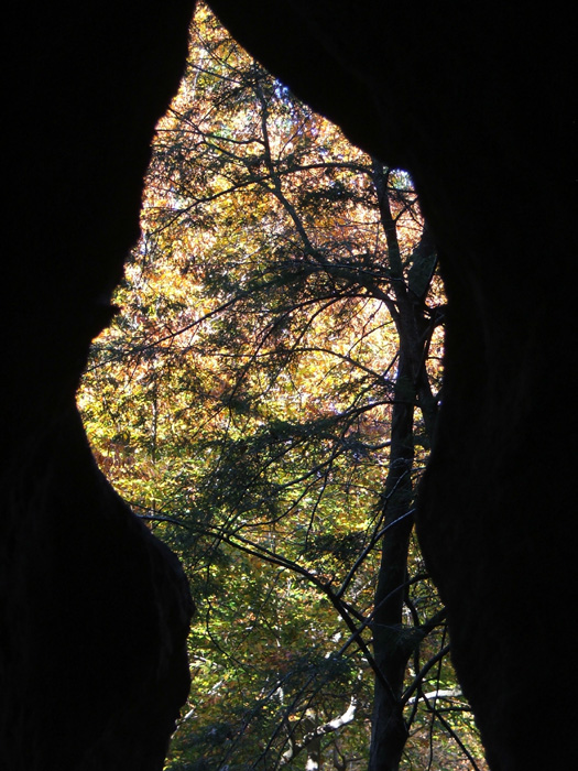 Rock House