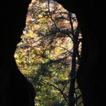 Rock House