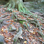 Rock House