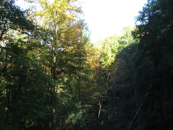 Rock House