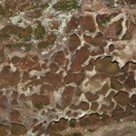 Rock House