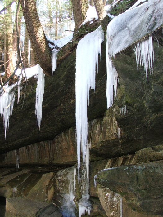 Cedar Falls