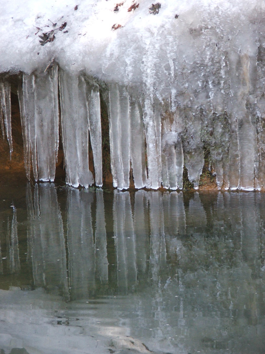 Cedar Falls