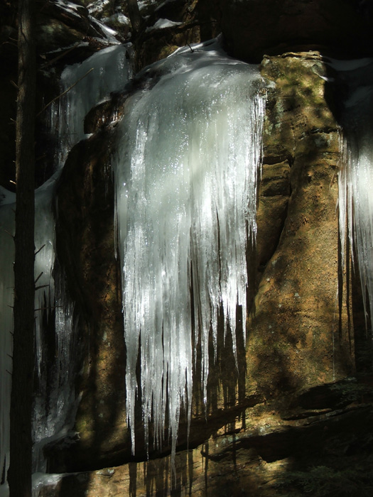 Cedar Falls