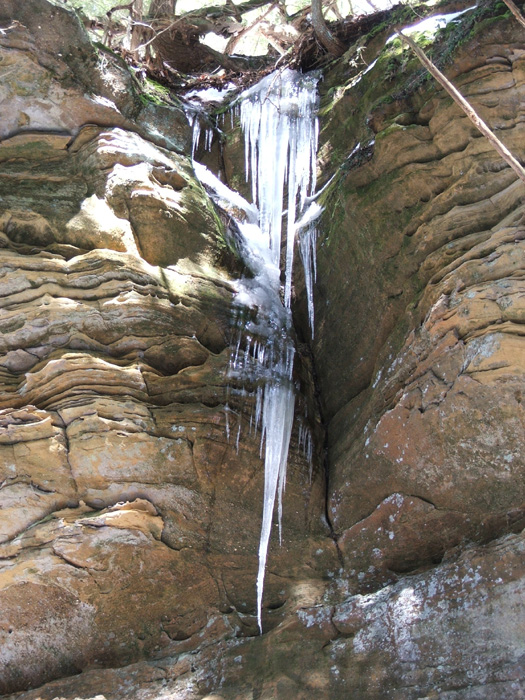 Cedar Falls
