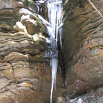Cedar Falls