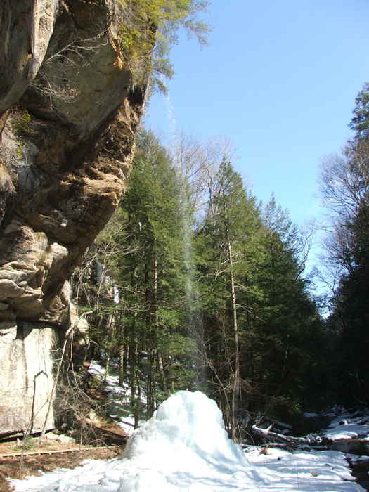 Cedar Falls