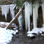 Cedar Falls