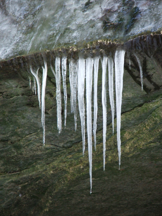 Cedar Falls