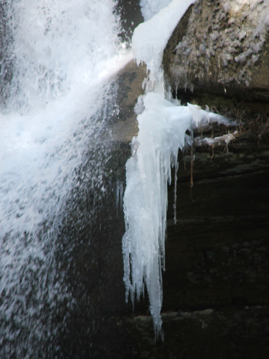 Cedar Falls