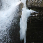 Cedar Falls